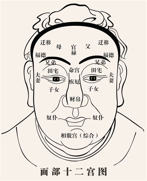 山根有疤|面相十二宫解析之山根篇，从山根看你一生健康如何，。